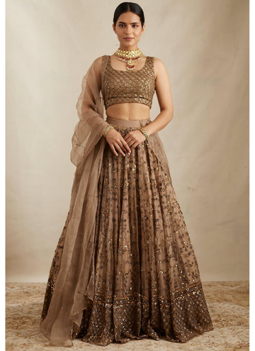 Brown Sequence Work Soft Net Lehenga Choli For Wedding